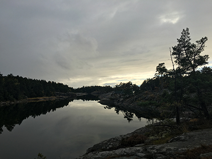 Stendörren Naturreservat