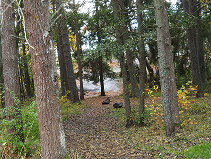 Stendörren Naturreservat