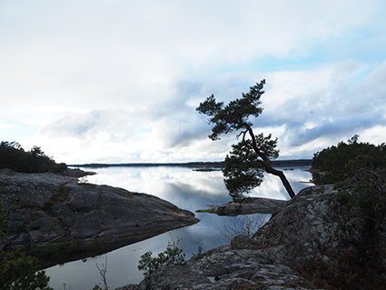 Stendörren Naturreservat