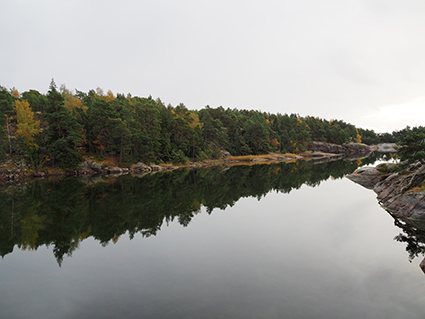 Stendörren Naturreservat