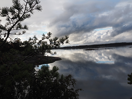 Stendörren Naturreservat