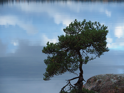 Stendörren Naturreservat