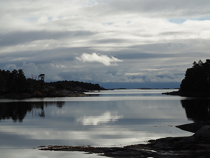 Stendörren Naturreservat