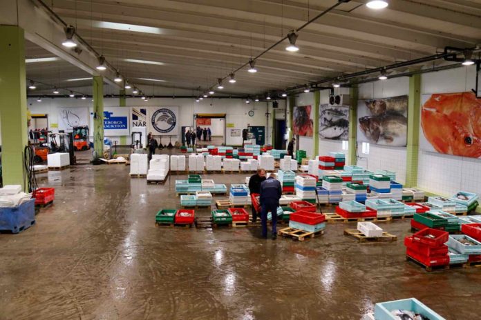 Fisch Fischauktion Göteborg – Frischer Fisch direkt vom Hafen