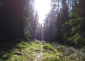 Fryksdalsleden