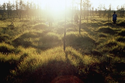 Miten marjoja poimitaan/How to Pick Berries (Finnland 2010) von Elina Talvensaari