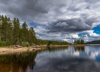 Lofsdalen