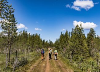 Wandern in Schweden