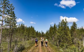 Wandern in Schweden