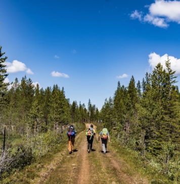 Wandern in Schweden