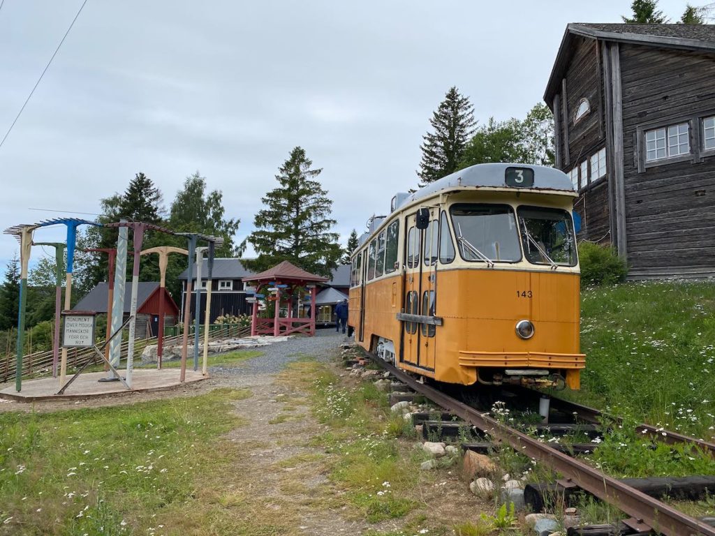 Skandinaviensommer Mannaminne