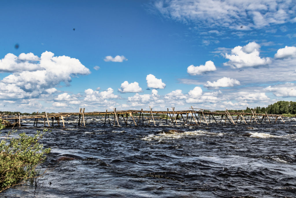 Junköfiskarna Kukkolaforsen