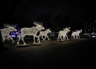 Advent in Stockholm Elche