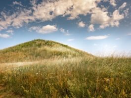 Gammla Uppsala