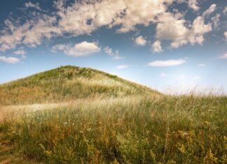 Uppsala Sehenswürdigkeiten: Was sich wirklich lohnt Gammla Uppsala